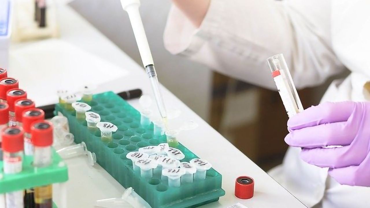 Incorporating Conjugation-Ready Sites into Recombinant Antibodies