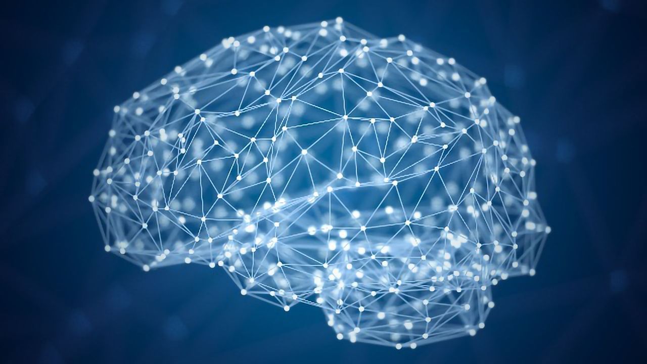 Exploring the World's First Holographic Brain Atlas