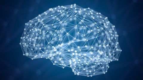 Exploring the World's First Holographic Brain Atlas