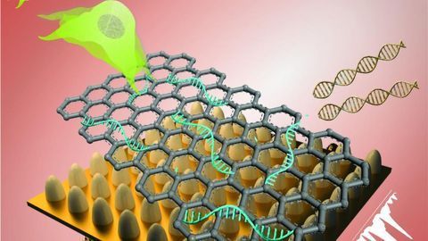 Better Biosensor Technology Created for Stem Cells