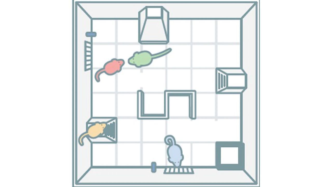 New Technique Claims To Measure Mouse Personality