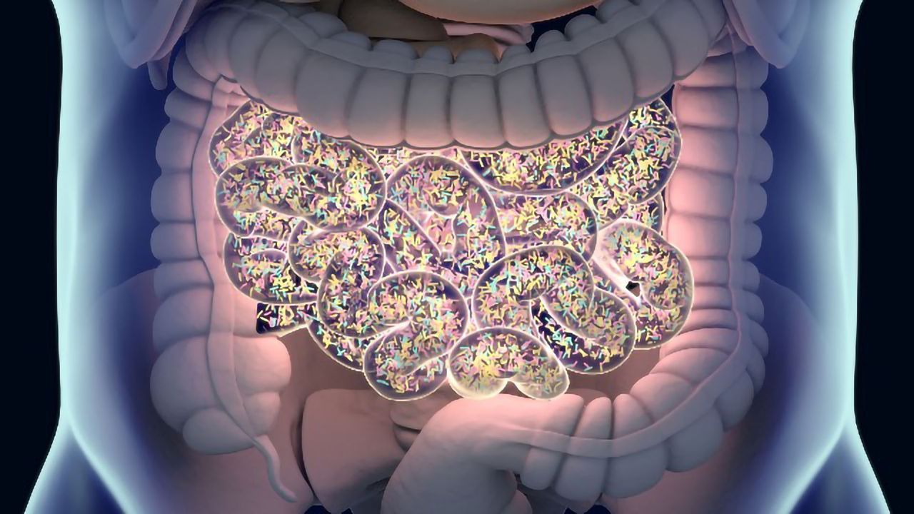 What Do We Know About the Gut Microbiota in Parkinson’s Disease?