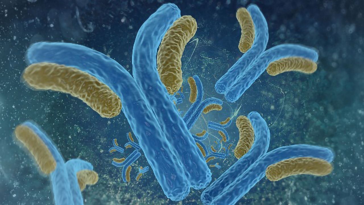 Researchers Gain a Deeper Insight Into Antibiotic Synthesis