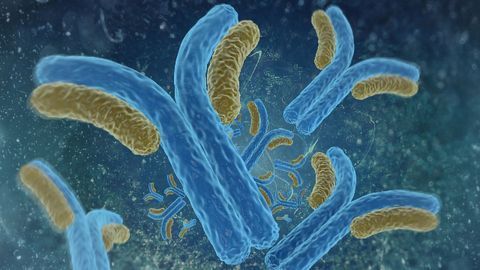Researchers Gain a Deeper Insight Into Antibiotic Synthesis