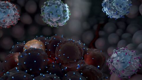 Decoding Cancer Immunology: Hunting Hidden Tumors