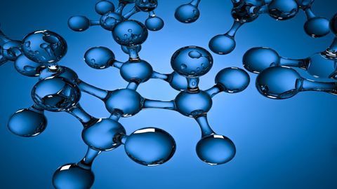 GlyGen Helps Researchers Answer Glycan-related Questions Using Big Data
