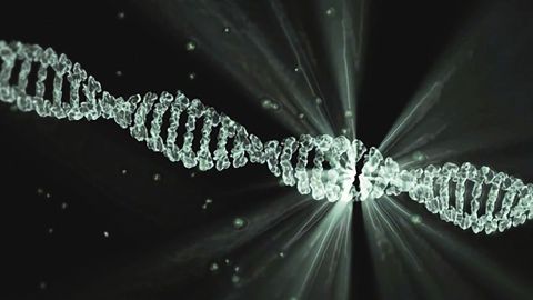 CRISPR: More Than Just for Gene Editing?