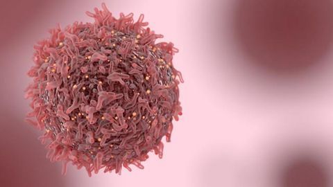Could Anthrax Help Fight Bladder Cancer?