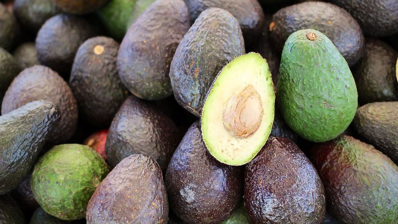 Exploring Cell Mechanics – From Ripe Avocados to Sepsis Diagnosis