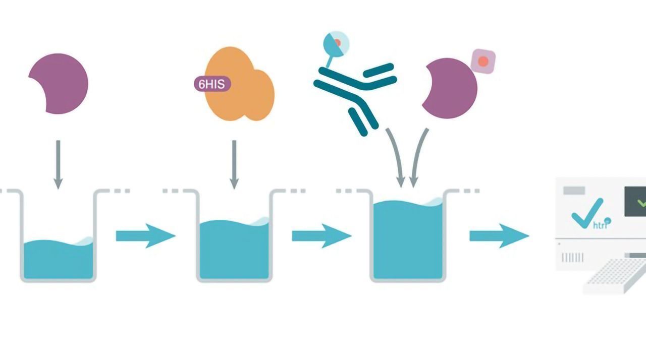 Unlock STING Polymorphisms With a Comprehensive HTRF Binding Platform