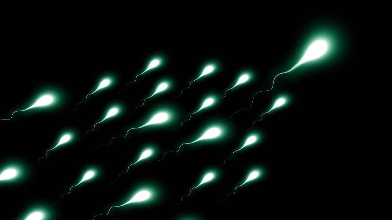 A Potential New Way to Diagnose Male Infertility