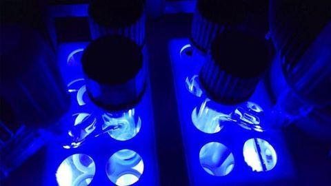Building Biologically Active Compounds Using Light