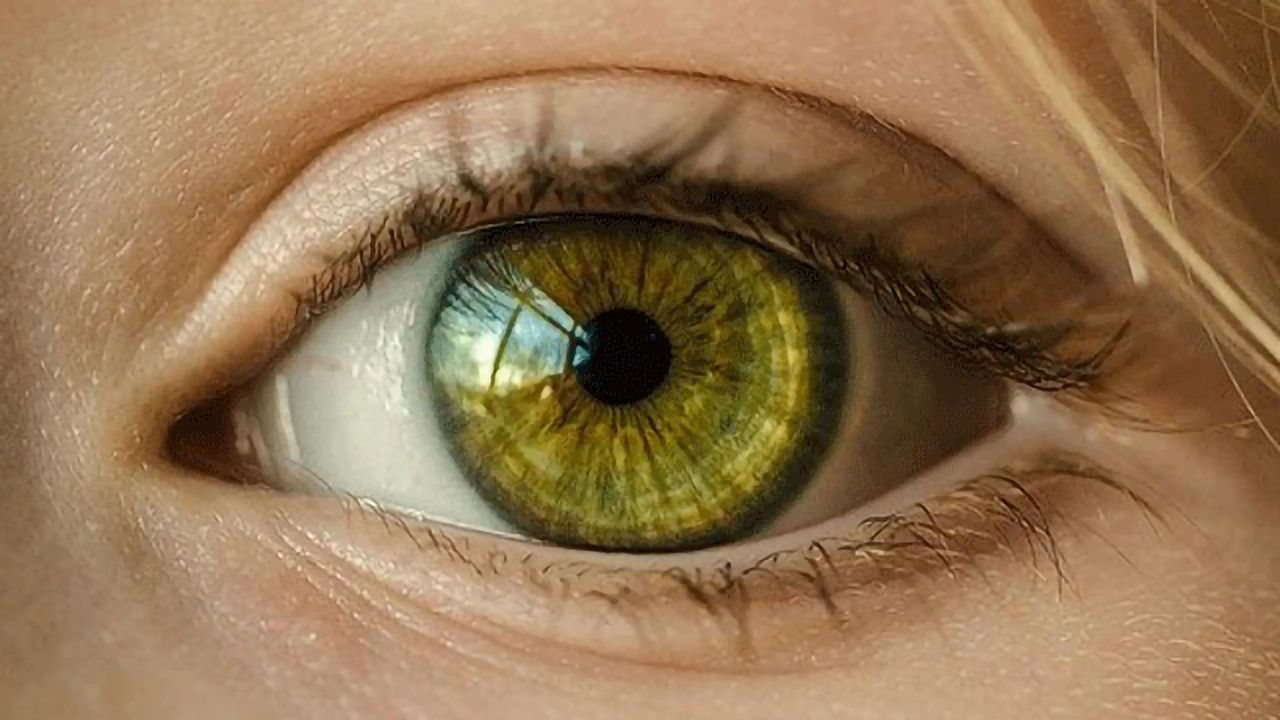 Blood Test for Deadly Eye Melanoma on the Horizon?
