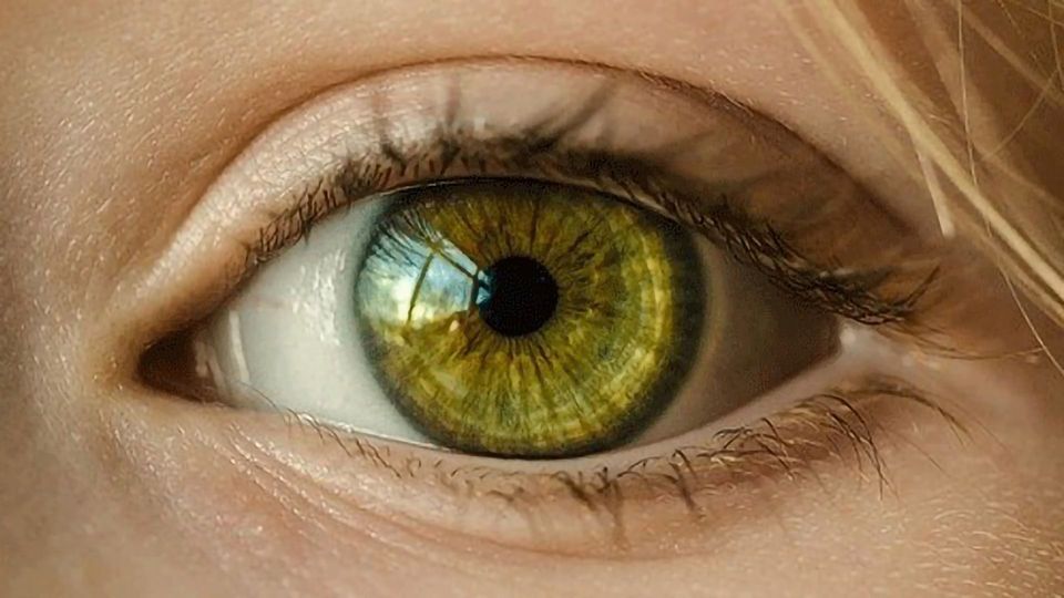 Blood Test for Deadly Eye Melanoma on the Horizon? content piece image