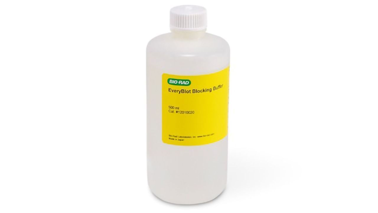 New Blocking Buffer Offers Fast, Sensitive Western Blots
