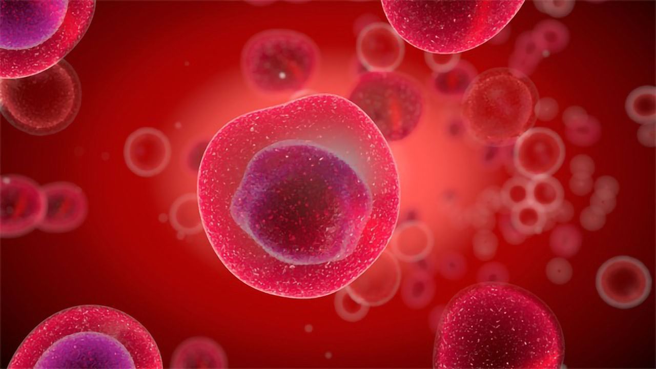 New Mechanism To Explain How the Endosome Is Formed and Maintained