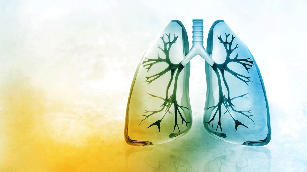 Antibody Has the Ability To Halt Progression of Pulmonary Arterial Hypertension