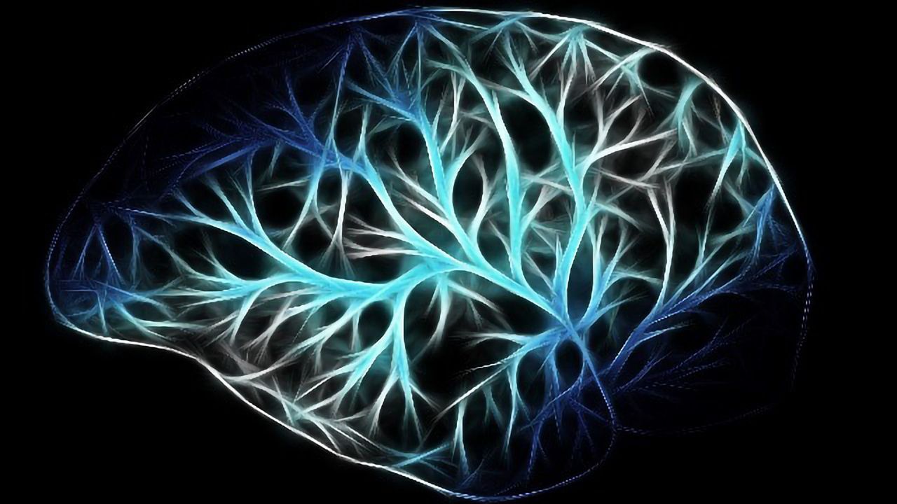 Genetic Variation in Individual Brain Cell Types May Predict Disease Risk