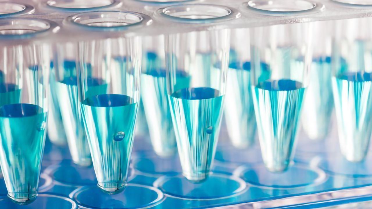 Exploring Droplet Digital PCR Technology