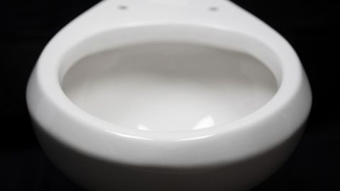 How Could a Slippery Toilet Save Water?
