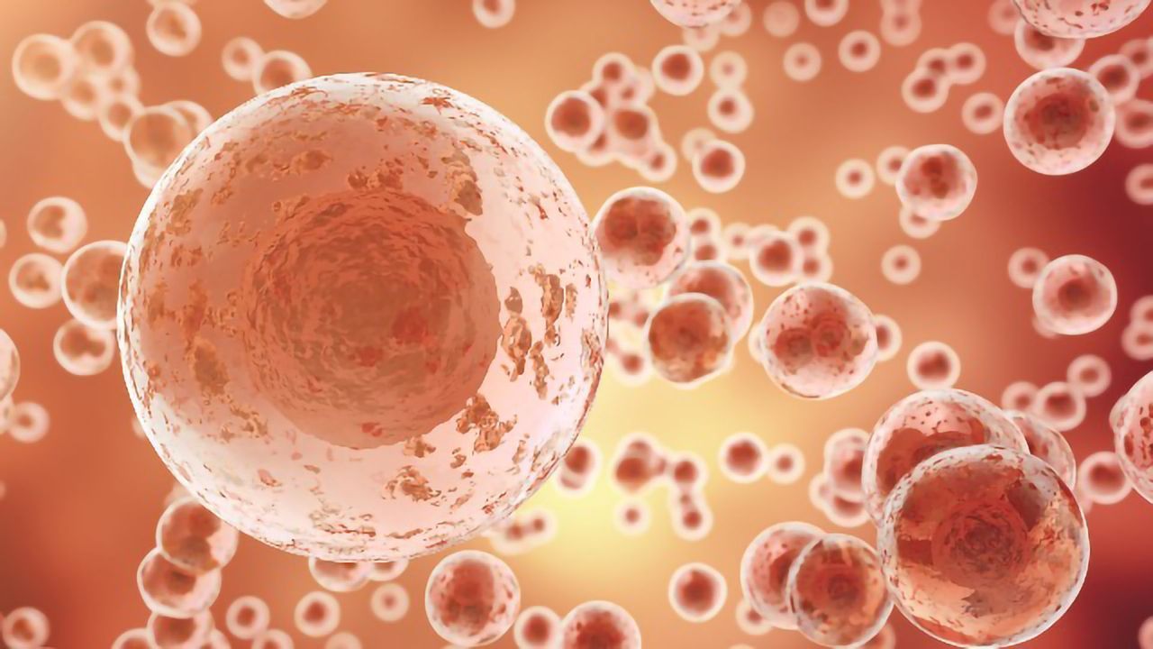"Supergrowth" Challenges Established Science of Cell Growth