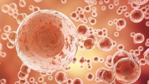 "Supergrowth" Challenges Established Science of Cell Growth
