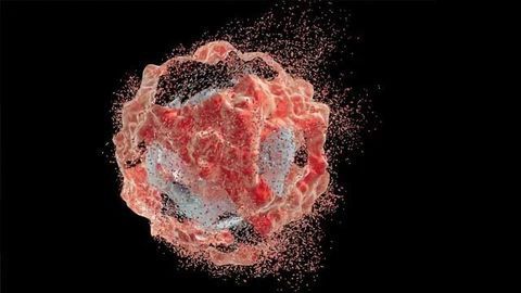 Destroying Cancerous Cells From Within