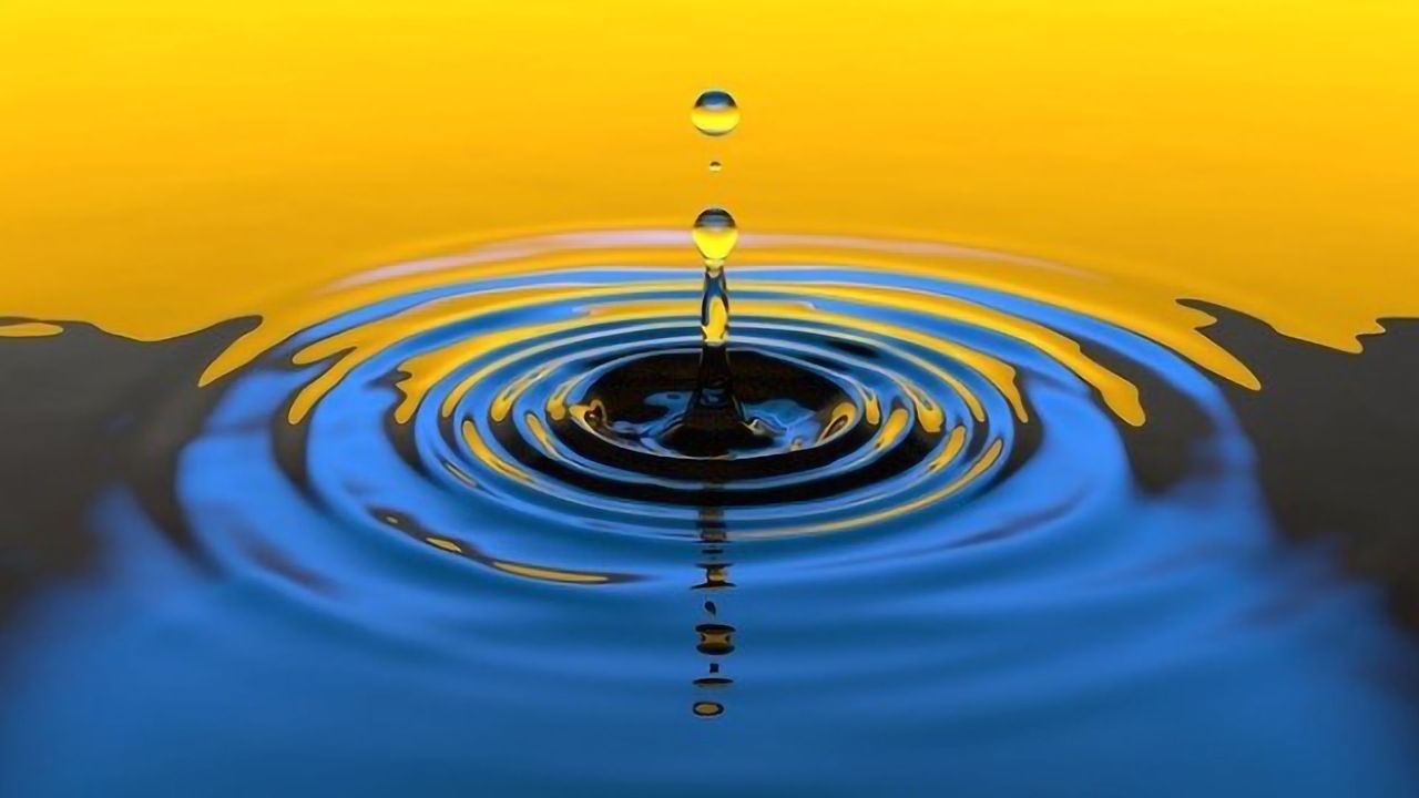 Key Water Purification Properties of Moringa Seeds Revealed