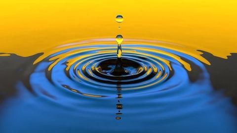 Key Water Purification Properties of Moringa Seeds Revealed