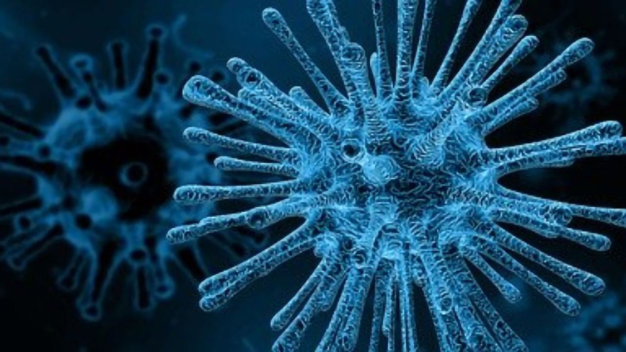 Promising Results From Experimental HIV Vaccine