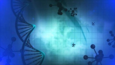 Calculating the Spatial Pattern of Gene Expression for the Entire Genome
