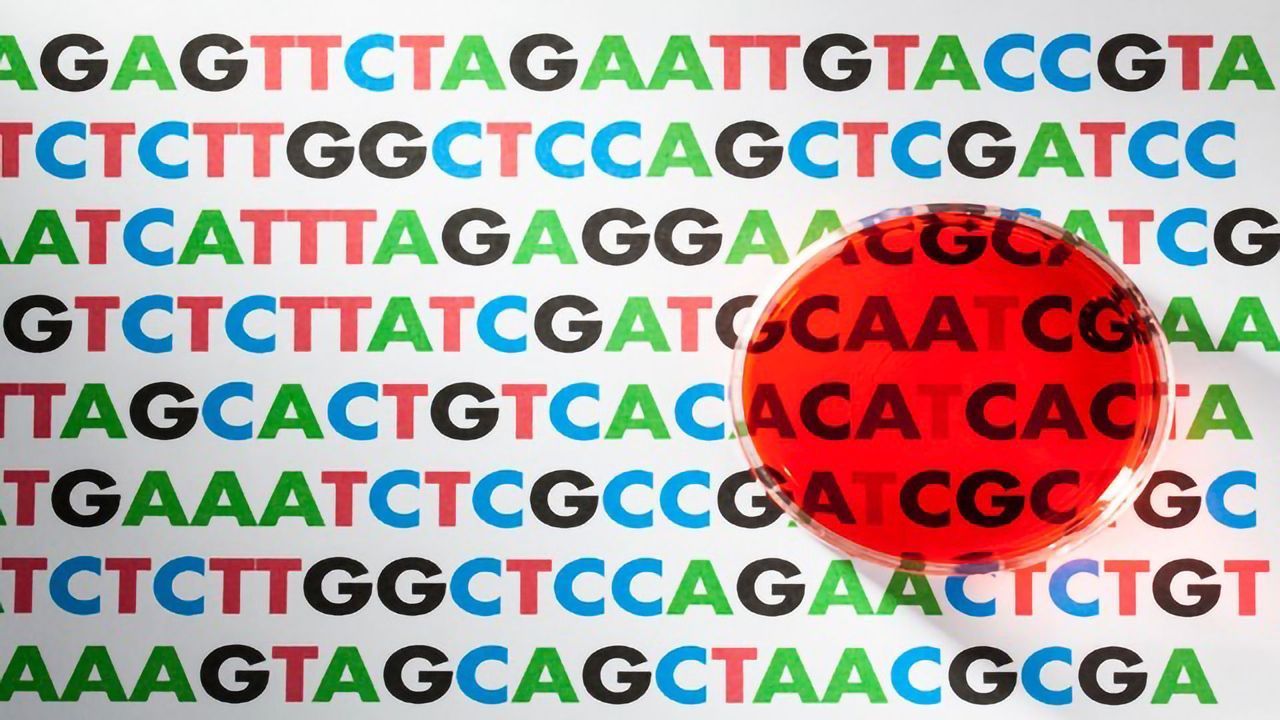 Infection Identification: Metagenomic Next-generation Sequencing vs PCR