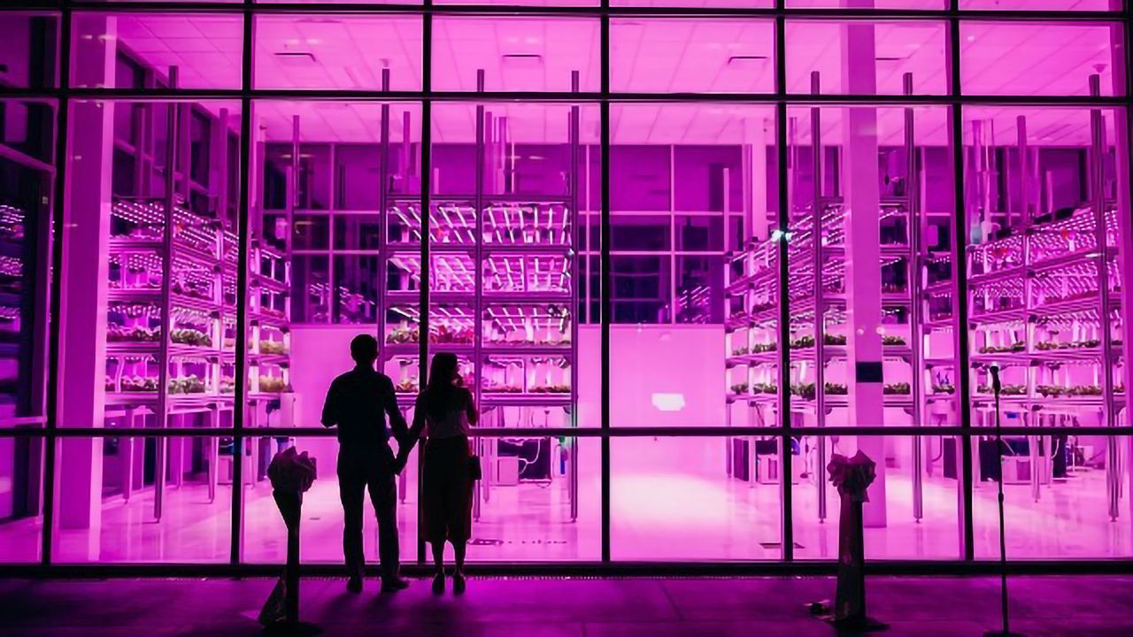 Feeding the Urban Masses the Smart Way