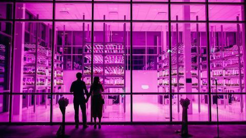 Feeding the Urban Masses the Smart Way