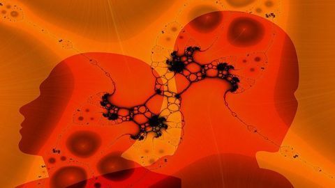 Scooped up Non-coding DNA May Help Drive Glioblastoma