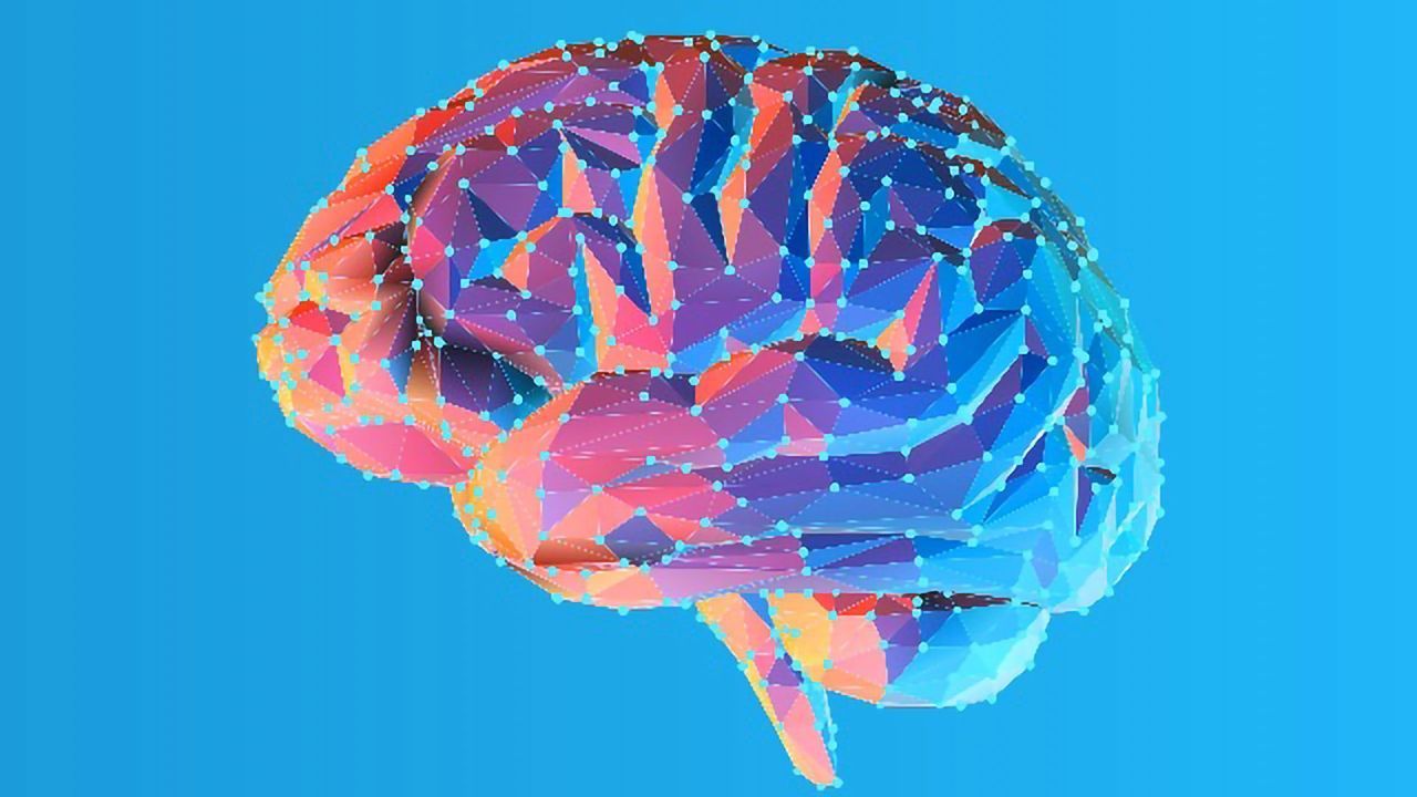 Which Areas of the Brain Decide Punishment?