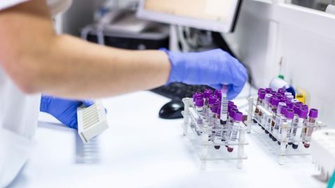 OGT Continues Move Into Molecular Diagnostics With MDSAP Certification