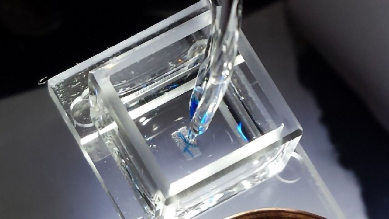 CELLINK Launches New Bioinks