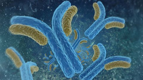 Abzena Showcases Antibody Discovery and Developability Services