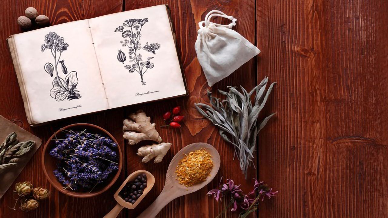 Plant Power: UK Scientists Are Hunting for the Medicines on Our Doorstep
