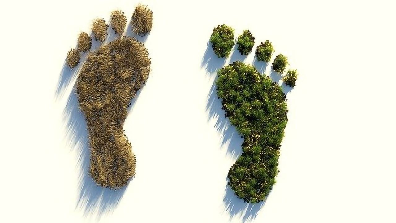 Greenhouse Gas Levels Reach Record High