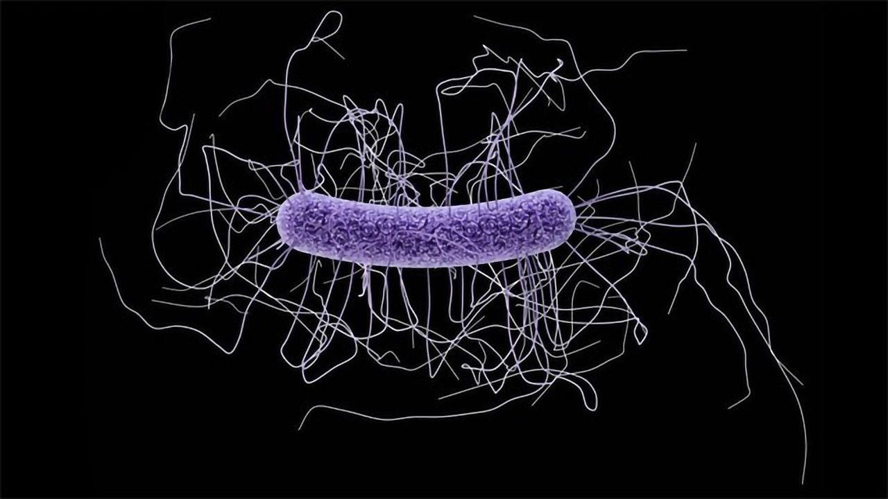 New Discovery in Bacteria Epigenome Could Lead to Treatments for Dangerous Infections