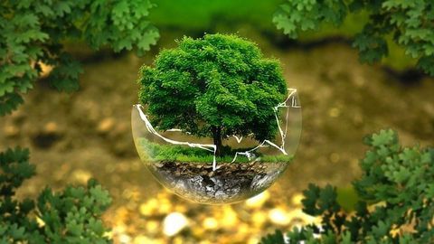 Ecotoxicology Studies Optimized by Advanced Analytical Techniques