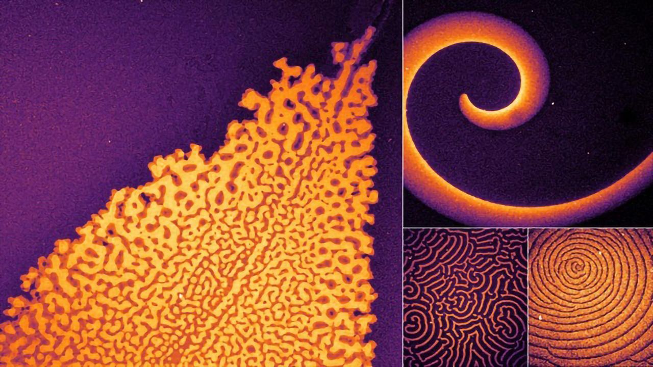 How Do Proteins Form Patterns?