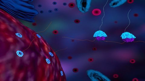 Ribosome-based Treatments: A Sought After Therapy Option for Orphan Diseases?