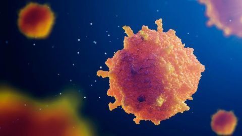 Prostate Cancer "Super Responders" Live for 2 Years on Immunotherapy