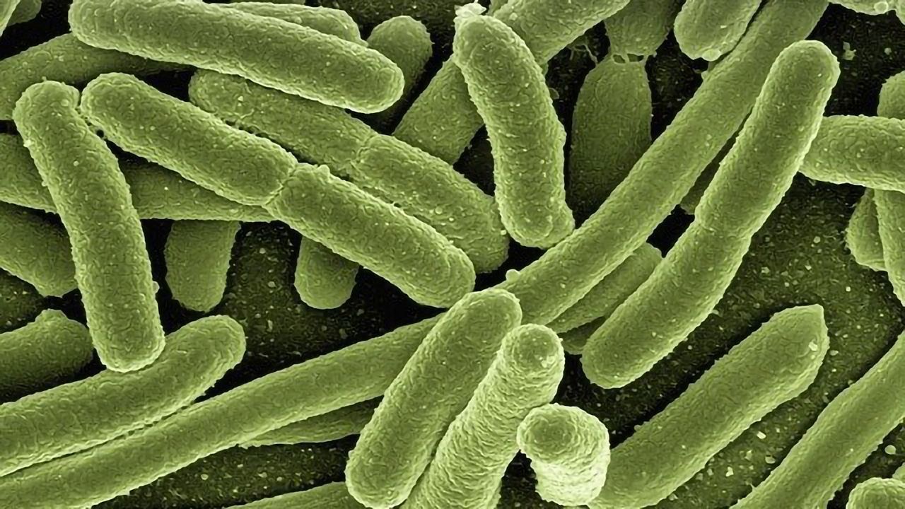 "Superbug" Threat Has Been Underestimated