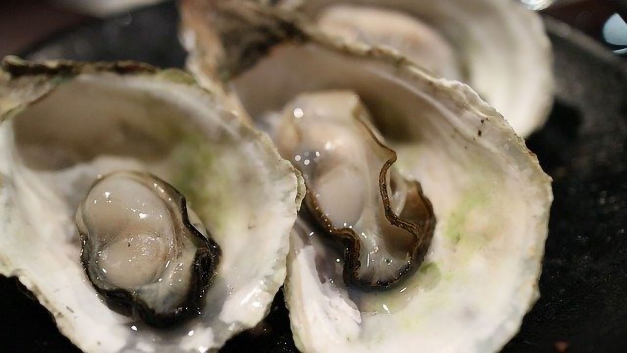Foodie Oyster Tradition Is Over 4,000 Years Old