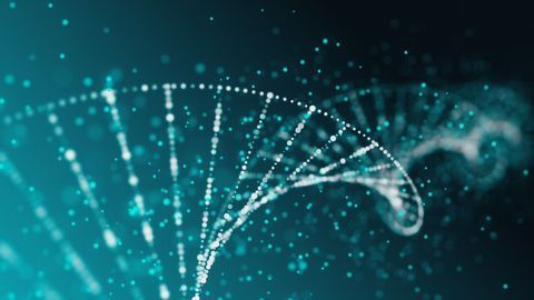 Algorithm Hunts for Anomalies in Gene Expression Data