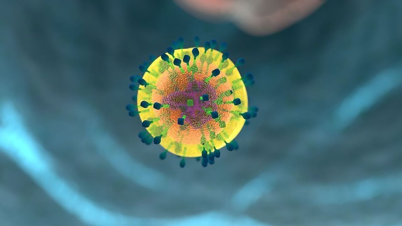 How Do Killer Immune Cells Protect Themselves From Self Harm?